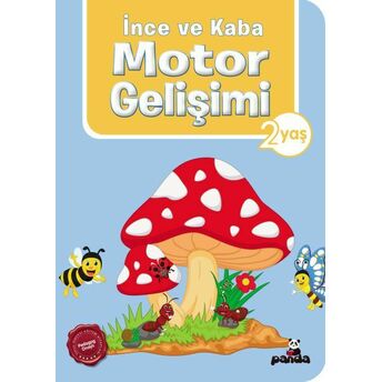 Ince Ve Kaba Motor Gelişimi 2 Yaş Pedagog Afife Çoruk