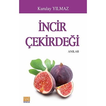 Incir Çekirdeği Kurulay Yılmaz