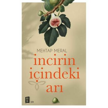 Incirin Içindeki Arı Mehtap Meral