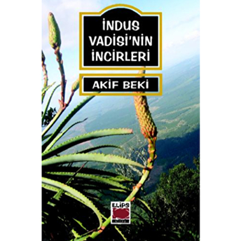 Indus Vadisi’nin Incirleri Akif Beki