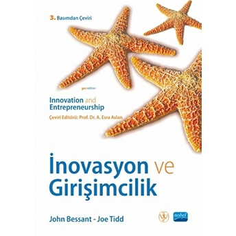 Inovasyon Ve Girişimcilik