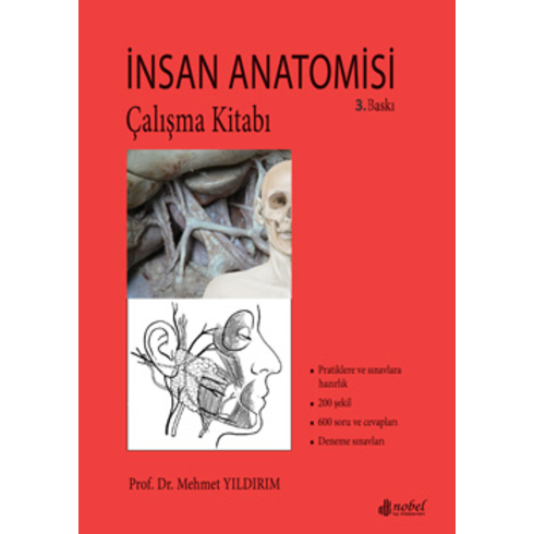 Insan Anatomisi Çalışma Kitabı