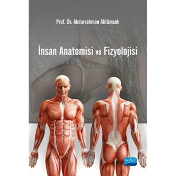 Insan Anatomisi Ve Fizyolojisi Abdurrahman Aktümsek