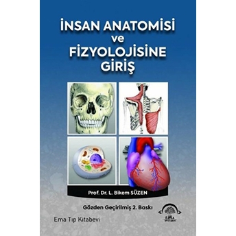 Insan Anatomisi Ve Fizyolojisine Giriş