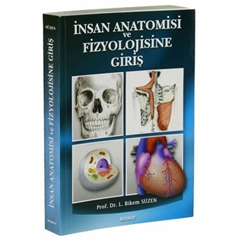 Insan Anatomisi Ve Fizyolojisine Giriş Bikem Süzen