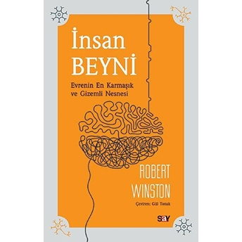 Insan Beyni - Evrenin En Karmaşık Ve Gizemli Nesnesi Robert Winston