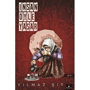 Insan Öyle Yaşar Yılmaz Şit