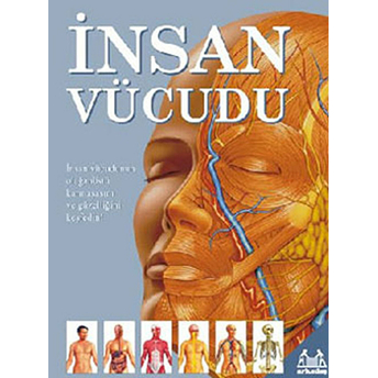 Insan Vücudu Ciltli Kolektif