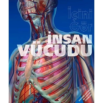 Insan Vücudu / Içini Gör Ciltli Kolektif