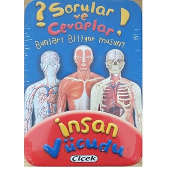 Insan Vücudu (Kart) / Sorular Ve Cevaplar Dizisi 3 Kolektif