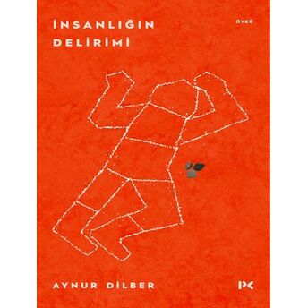 Insanlığın Delirimi Aynur Dilber