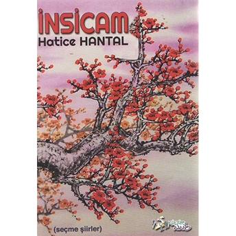 Insicam