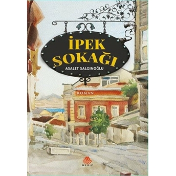 Ipek Sokağı Asalet Salgınoğlu