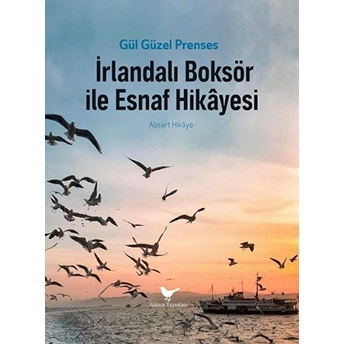 Irlandalı Boksör Ile Esnaf Hikâyesi Güzel Gül Prenses