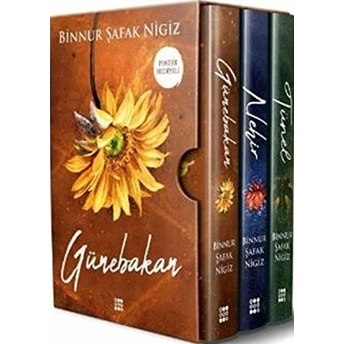 Is Serisi (3 Kitap) Binnur Şafak Nigiz