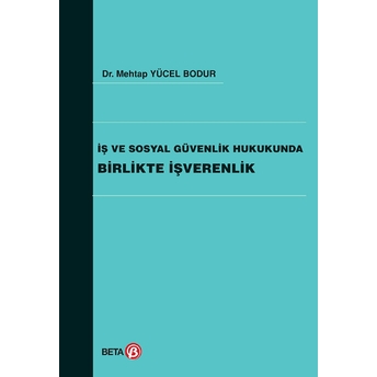 Iş Ve Sosyal Güvenlik Hukukunda Birlikte Işverenlik Mehtap Yücel Bodur