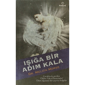 Işığa Bir Adım Kala Melvin Morse