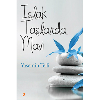 Islak Taşlarda Mavi-Yasemin Telli