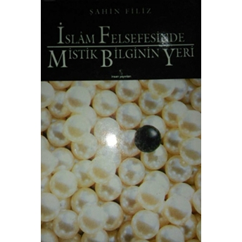 Islam Felsefesinde Mistik Bilginin Yeri Şahin Filiz