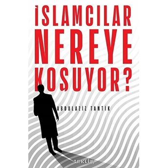 Islamcılar Nereye Koşuyor? Abdulaziz Tantik