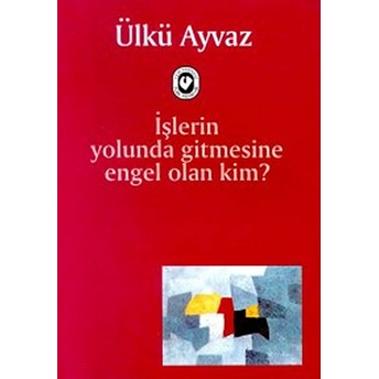 Işlerin Yolunda Gitmesine Engel Olan Kim Ülkü Ayvaz