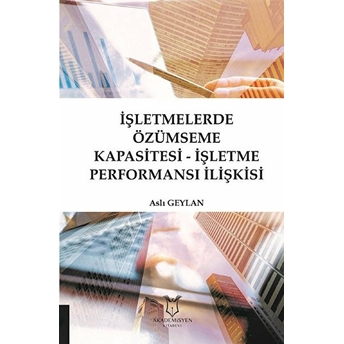 Işletmelerde Özümseme Kapasitesi - Işletme Performansı Ilişkisi - Aslı Geylan