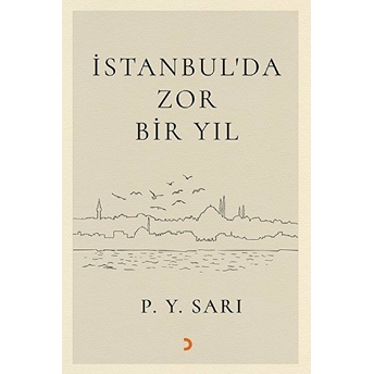 Istanbul’da Zor Bir Yıl P. Y. Sarı