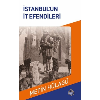 Istanbul’un It Efendileri Istanbul Sokak Köpeklerinin Tarihi - Metin Hülagü