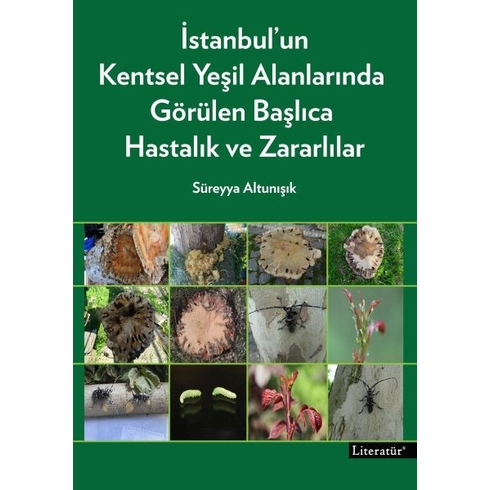 Istanbul’un Kentsel Yeşil Alanlarında Görülen Başlıca Hastalık Ve Zararlılar Süreyya Altunışık