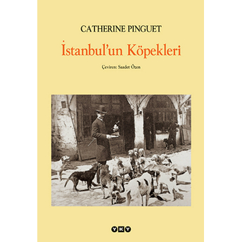 Istanbul’un Köpekleri Catherine Pinguet