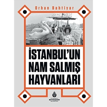 Istanbul’un Nam Salmış Hayvanları Orhan Bahtiyar