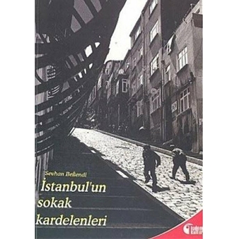 Istanbul’un Sokak Kardelenleri Sevhan Beğendi