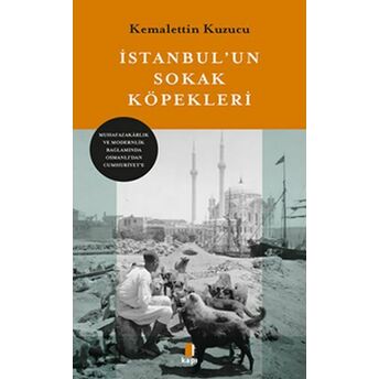 Istanbul’un Sokak Köpekleri Kemalettin Kuzucu