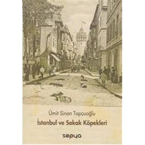 Istanbul Ve Sokak Köpekleri Ümit Sinan Topçuoğlu