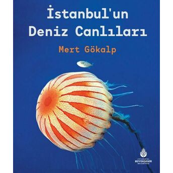 Istanbulun Deniz Canlıları Mert Gökalp