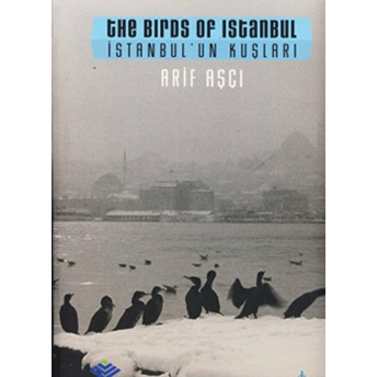 Istanbul'un Kuşları / The Birds Ofm Istanbul Arif Aşçı