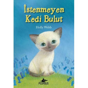 Istenmeyen Kedi Bulut Holly Webb