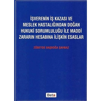 Işverenin Iş Kazası Ve Meslek Hastalığından Doğan Hukuki Sorumluluğu Ile Maddi Zararın Hesabına Ilişkin Esaslar Zübeyde Başboğa Şahbaz