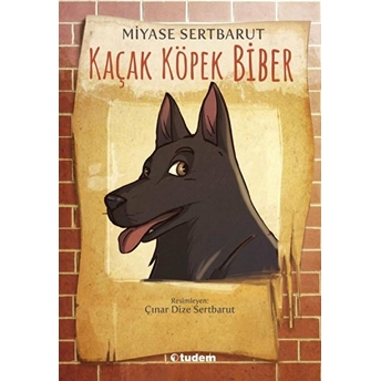 Kaçak Köpek Biber Miyase Sertbarut