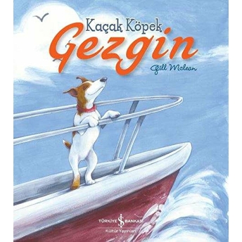 Kaçak Köpek Gezgin Gill Mclean