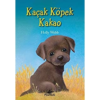 Kaçak Köpek Kakao Holly Webb