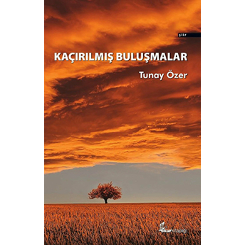 Kaçırılmış Buluşmalar-Tunay Özer