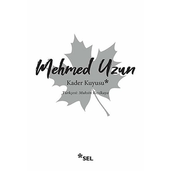 Kader Kuyusu Mehmed Uzun