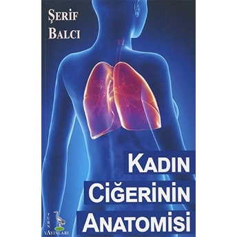 Kadın Ciğerinin Anatomisi