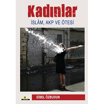 Kadınlar Islam, Akp Ve Ötesi