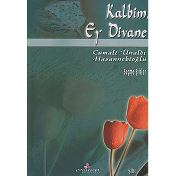 Kalbim, Ey Divane