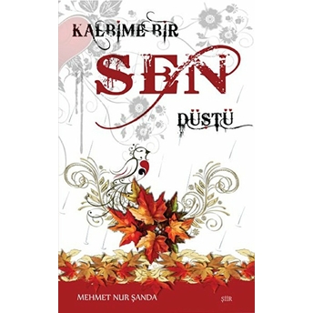 Kalbime Bir Sen Düştü Mehmet Nur Şanda