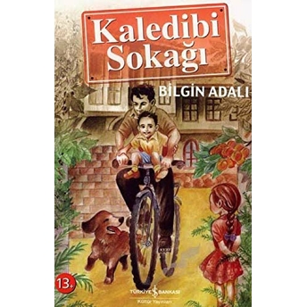 Kaledibi Sokağı Bilgin Adalı