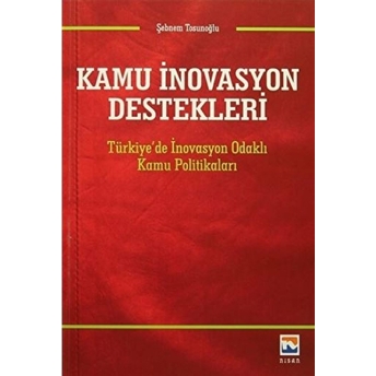 Kamu Inovasyon Destekleri