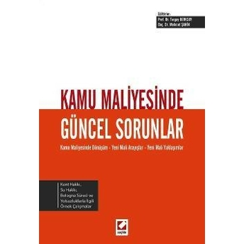 Kamu Maliyesinde Güncel Sorunlar Mehmet Şahin